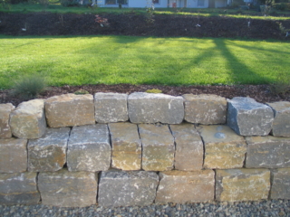 gg029 Muschelkalk